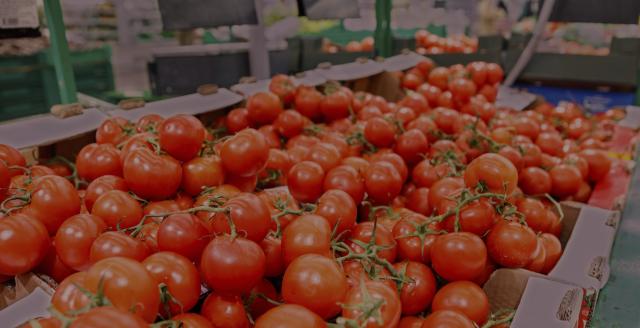 Food and Beverage Image