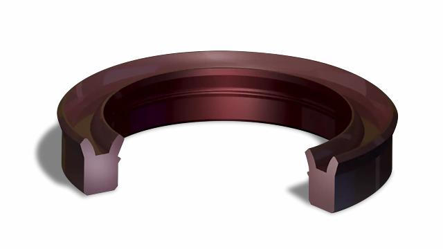 Rod and Piston Seals