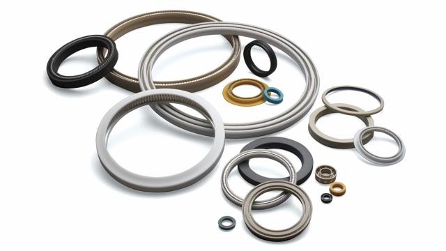 Spring Energized Seals